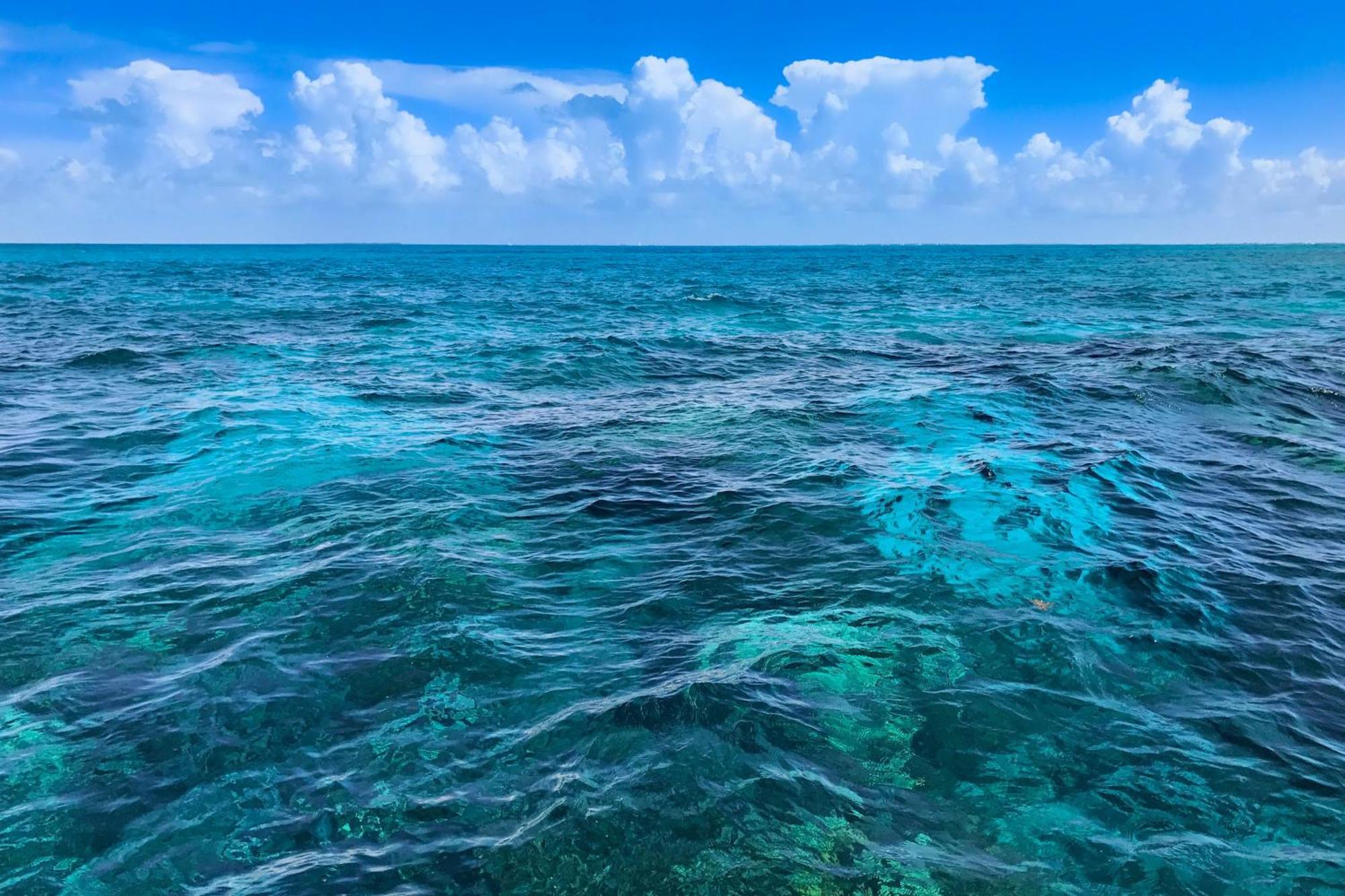Sunrise Suites - Sea Breeze Suite 101 Key West Rum bild